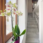 Casa Nonna Carmela Apartamento Anacapri (Isola di Capri)