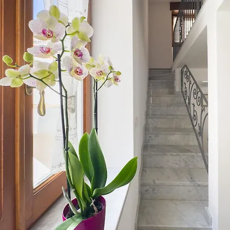 Casa Nonna Carmela Lägenhet Anacapri (Isola di Capri)